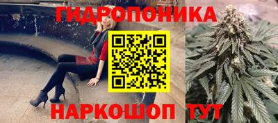 альфа пвп Владикавказ