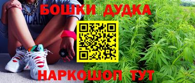 альфа пвп Владикавказ