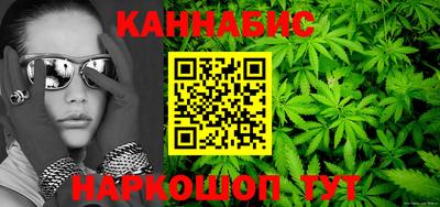 альфа пвп Владикавказ