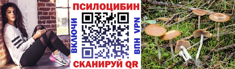 Псилоцибиновые грибы Magic Shrooms  Бор 