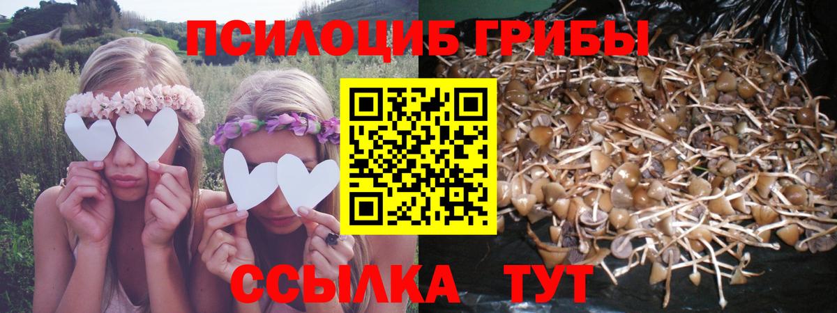 Галлюциногенные грибы Cubensis Бор
